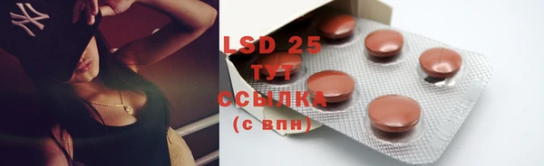 винт Богданович